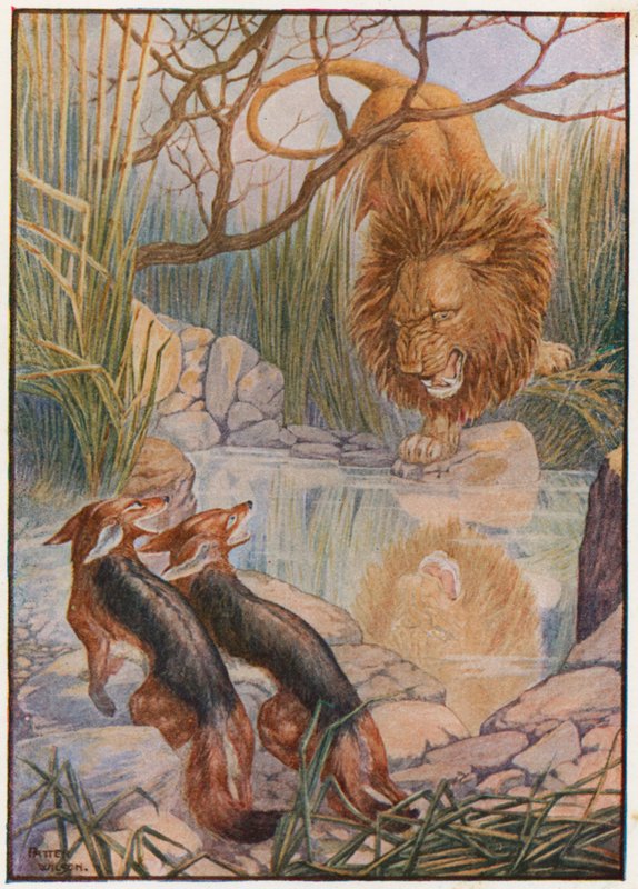 La cara de un león le devolvió la mirada desde el agua (litografía en color) de Patten Wilson