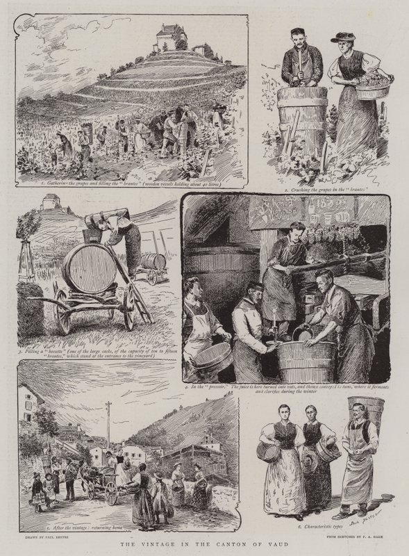 La vendimia en el cantón de Vaud de Paul Destez
