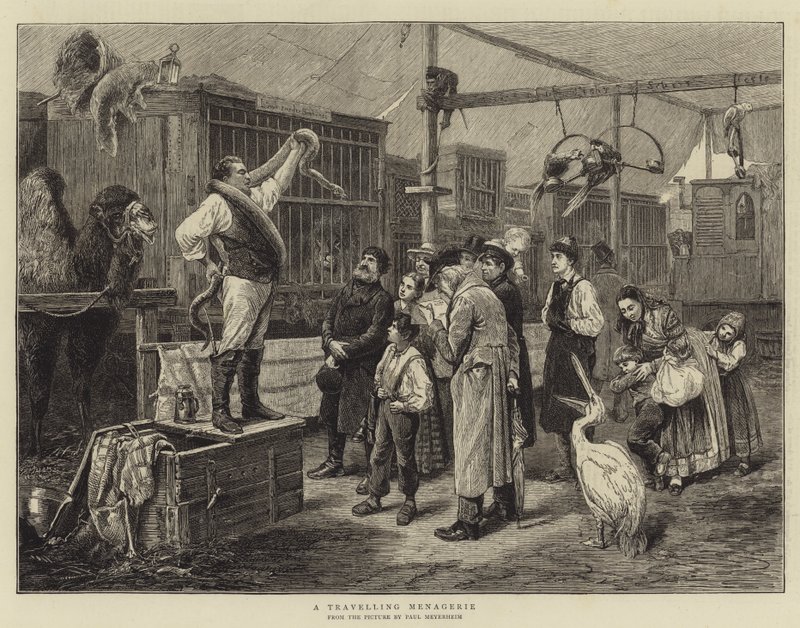 Una menagerie viajera de Paul Friedrich Meyerheim