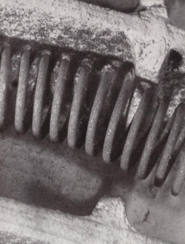 Filamento de un fuego eléctrico (foto b/n) de Paul Henning