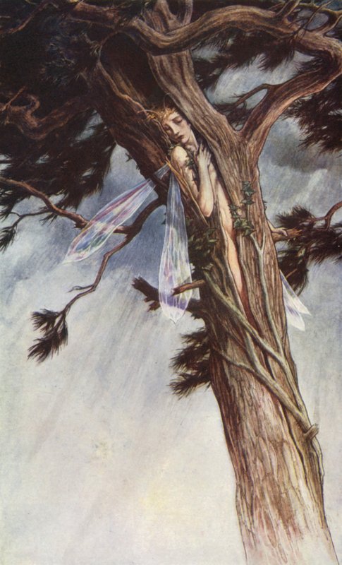 La Tempestad de William Shakespeare, Acto I, Escena 2 (litografia en color) de Paul Vincent Woodroffe