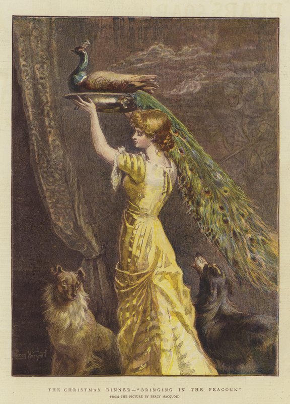 La Cena de Navidad, Trayendo el Pavo Real de Percy Macquoid