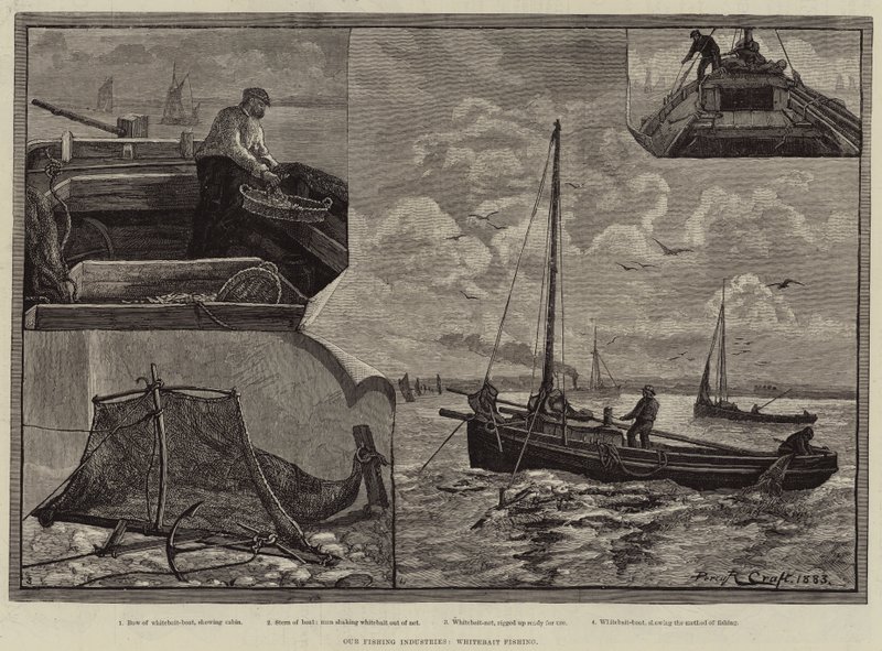Nuestras Industrias Pesqueras, Pesca de Pejerrey de Percy Robert Craft