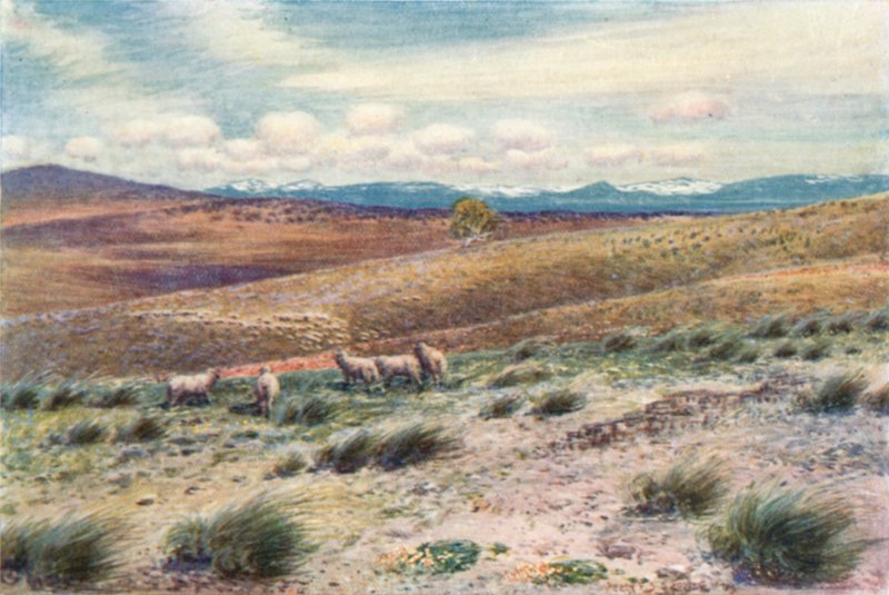 Montañas Nevadas cerca del sitio de la Capital Federal de Percy F.S. (after) Spence