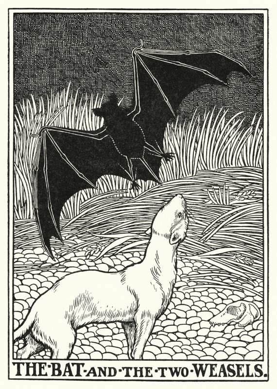 Fábulas de La Fontaine: El murciélago y las dos comadrejas (litografía) de Percy James Billinghurst