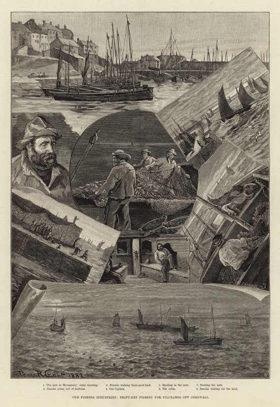 Nuestras industrias pesqueras: pesca con red de deriva para sardinas en Cornwall de Percy Robert Craft