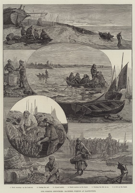 Nuestras industrias pesqueras, pesca de caballa en Eastbourne (grabado) de Percy Robert Craft
