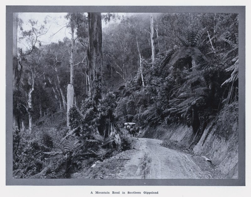 Una carretera de montaña en el sur de Gippsland de Photographer Australian