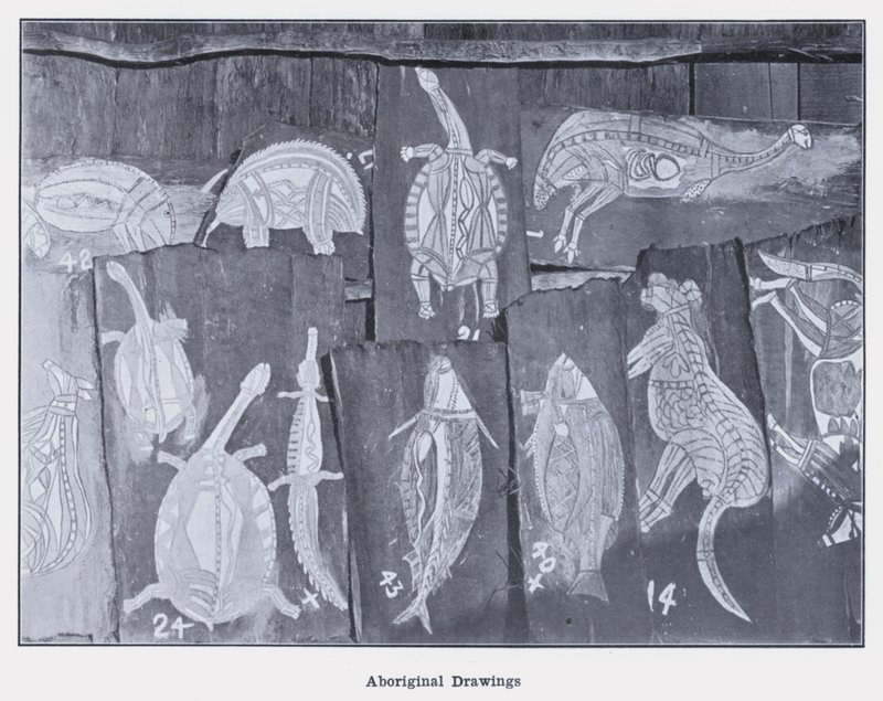 Dibujos aborígenes de Photographer Australian