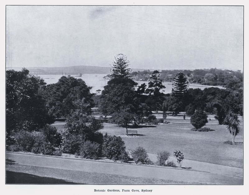 Jardines Botánicos, Farm Cove, Sídney de Photographer Australian