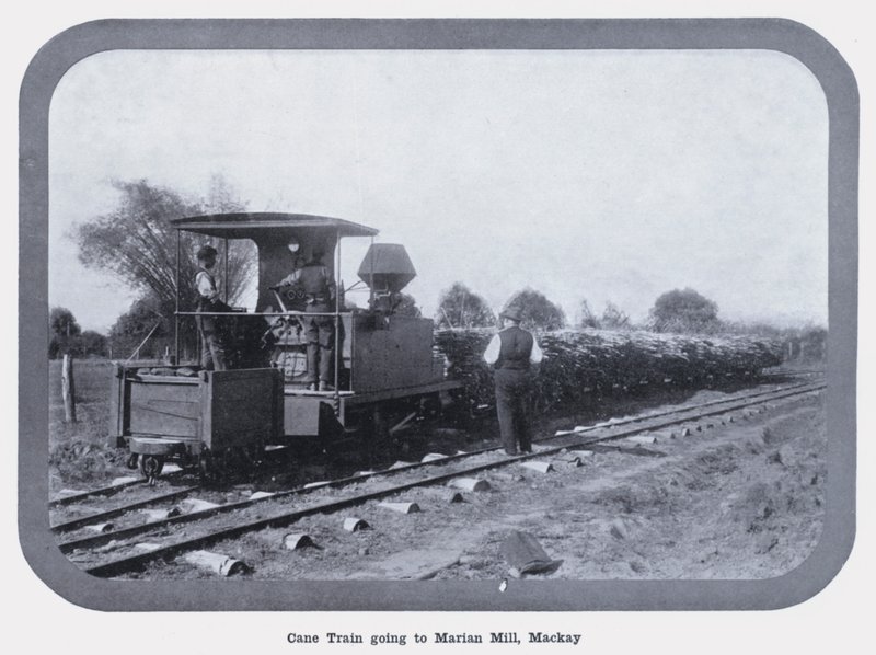 Tren de caña yendo al molino Marian, Mackay de Photographer Australian