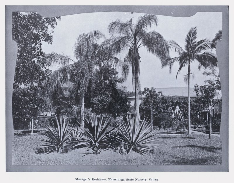 Residencia del gerente, Vivero Estatal de Kamerunga, Cairns (foto en b/n) de Photographer Australian