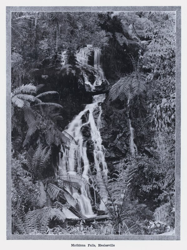 Cascadas Mathinna, Healesville de Photographer Australian