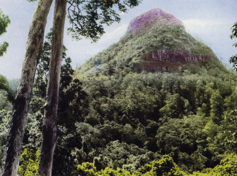 Queensland, Australia: Monte Cordeaux de Photographer Australian
