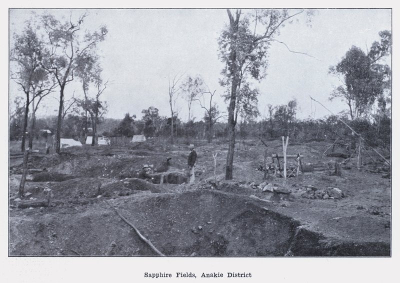 Campos de zafiro, distrito de Anakie de Photographer Australian