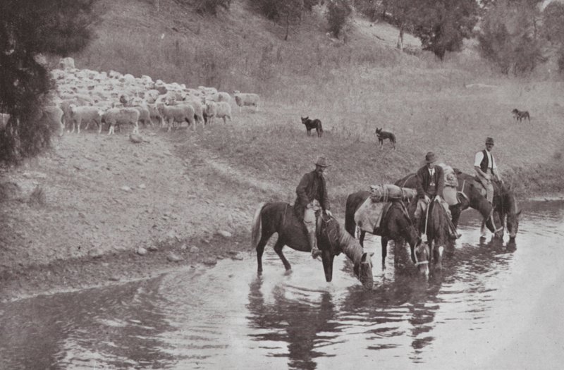 El Descanso, Típicos Vaqueros Australianos de Photographer Australian