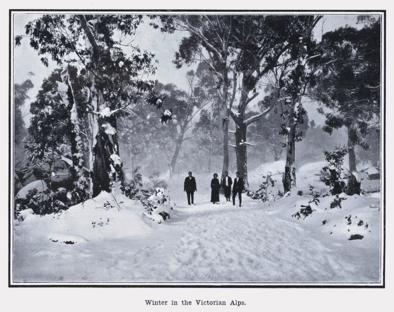 Invierno en los Alpes Victorianos de Photographer Australian