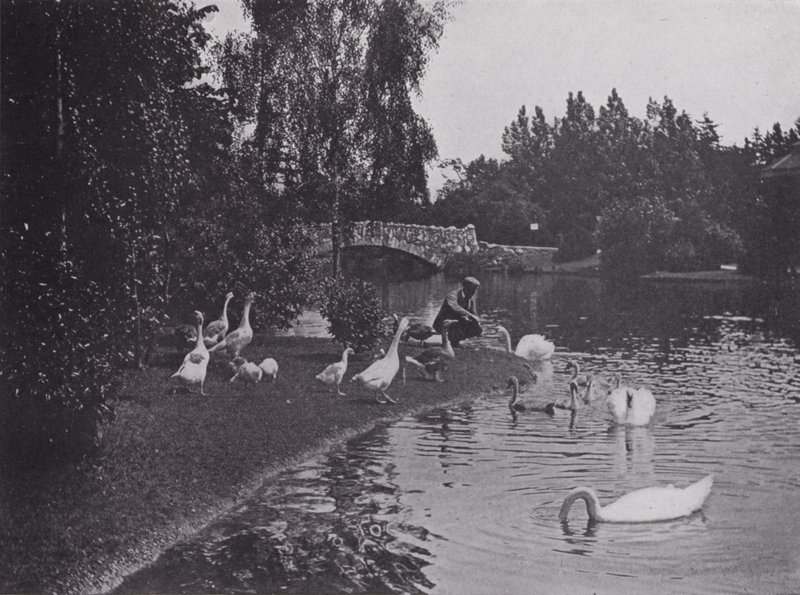 Lago, Beacon Hill Park, Victoria, Columbia Británica de Photographer Canadian