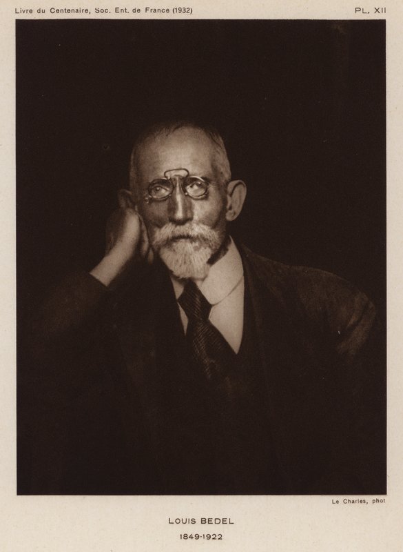 Ernest Marie Louis Bedel, entomólogo francés de Photographer French