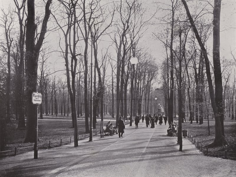 En el Tiergarten, Ahornsteig de Photographer German