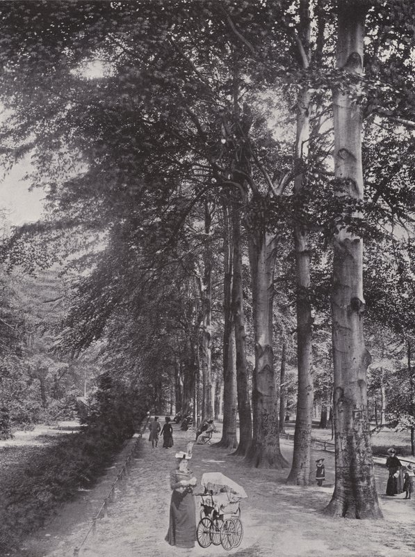 Im Tiergarten, Un Camino Sombrío de Photographer German