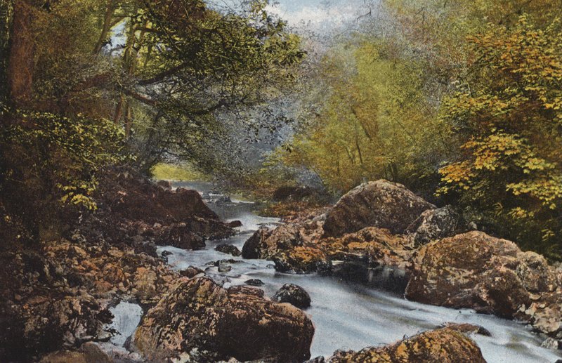 Irlanda: In The Dargle, County Wicklow (foto a color) de Photographer Irish