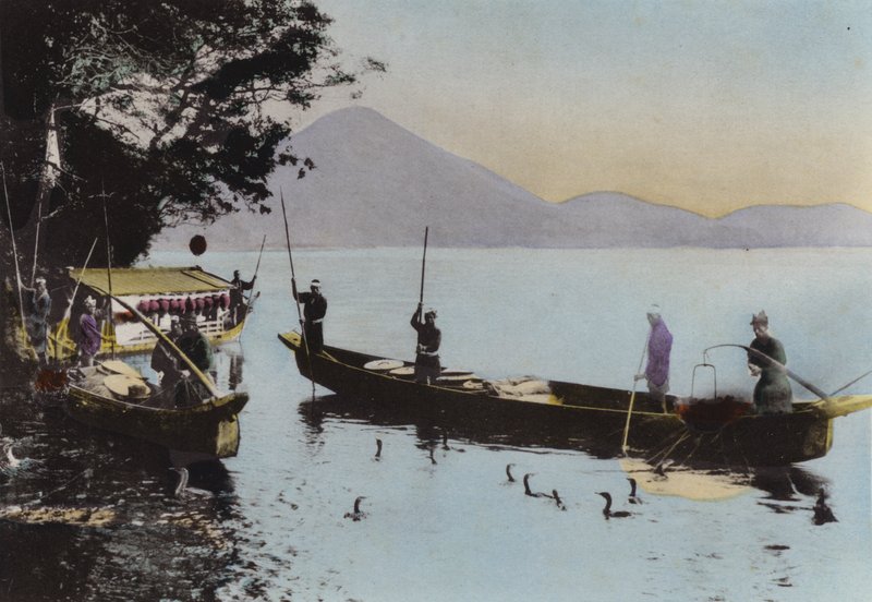 Japón, c.1912: Pesca con un cormorán, Nagaragawa de Photographer Japanese
