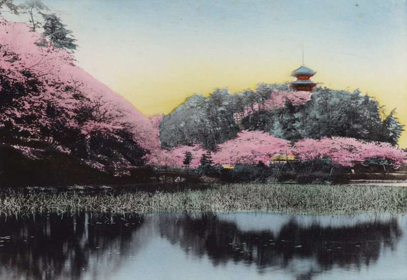 Japón, c.1912: Sankeiyen, Jardín Privado del Sr. Hara, Honmoku, Yokohama de Photographer Japanese