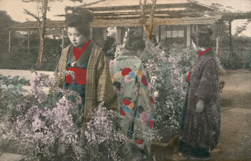 Mujeres japonesas con plantas de glicina (foto a color) de Photographer Japanese