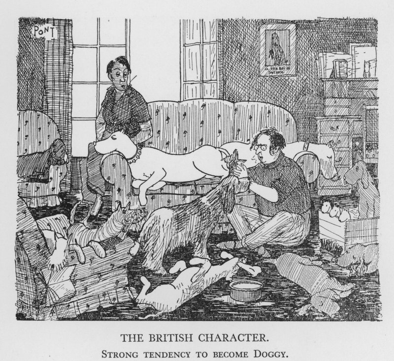 El carácter británico, fuerte tendencia a volverse perruno de Pont