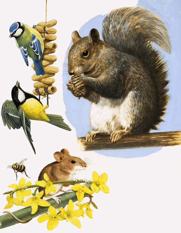 Pequeños animales muy ocupados, como el herrerillo común, el carbonero común, el abejorro, el ratón de campo y la ardilla gris. de R.B. Davis