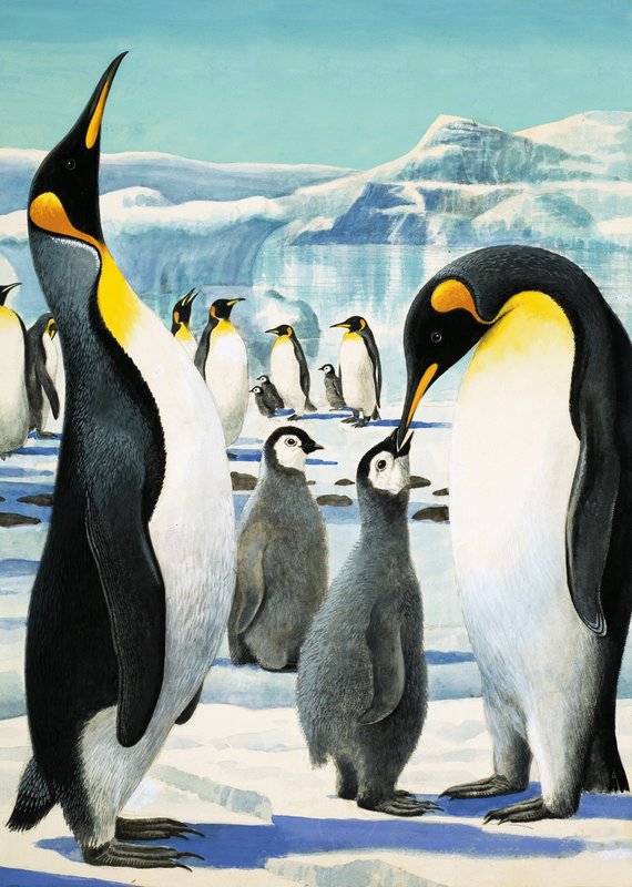 Rey Pingüino de R.B. Davis