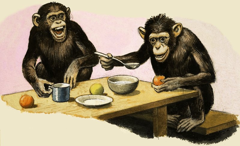 Z de Zoo. La fiesta del té del chimpancé de R.B. Davis