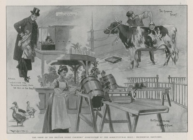 El espectáculo de la Asociación Británica de Agricultores Lecheros en el Salón Agrícola (grabado) de Ralph Cleaver