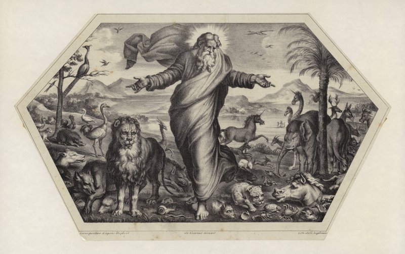 La Creación de los Animales de Raffaello Sanzio Raphael