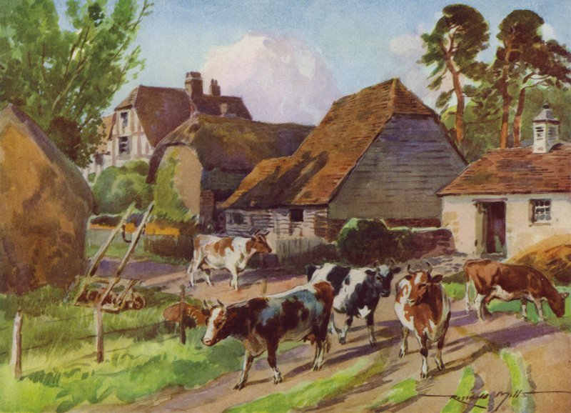 Ilustración para Mi granja (litografía en color) de Reginald Mills