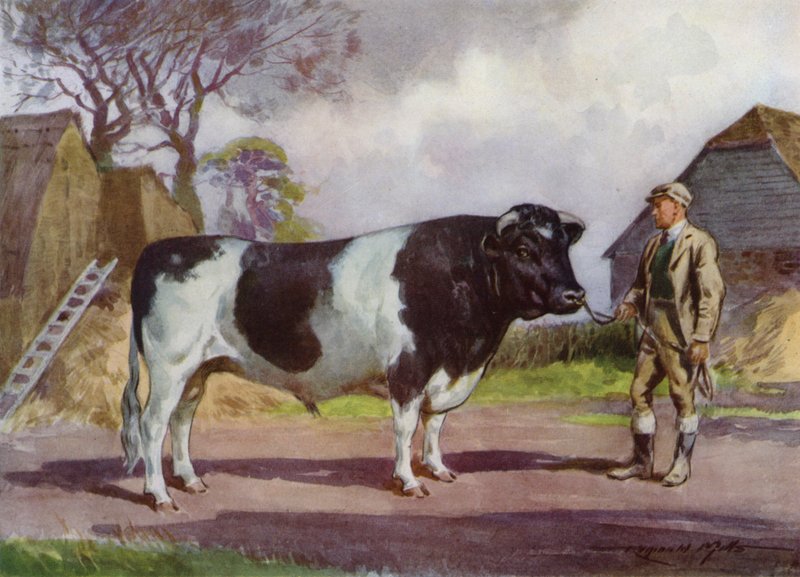 Ilustración para Mi granja (litografía en color) de Reginald Mills