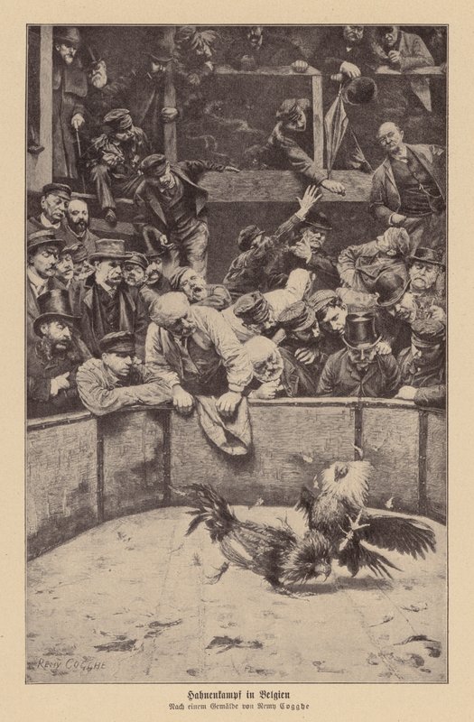 Peleas de gallos en Flandes (litografía) de Remy Cogghe