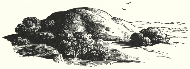 Hans Christian Andersen: El Monte de los Elfos de Rex (after) Whistler