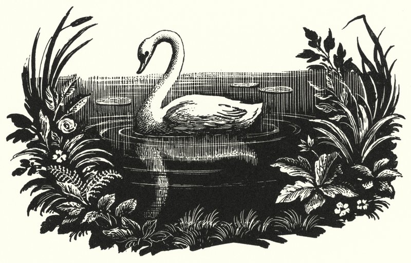 El patito feo de Rex (after) Whistler