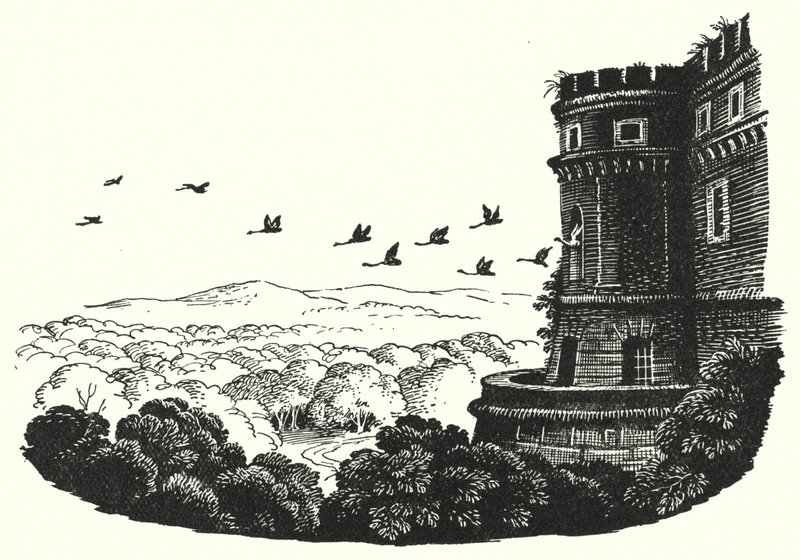Hans Christian Andersen: Los cisnes salvajes de Rex (after) Whistler