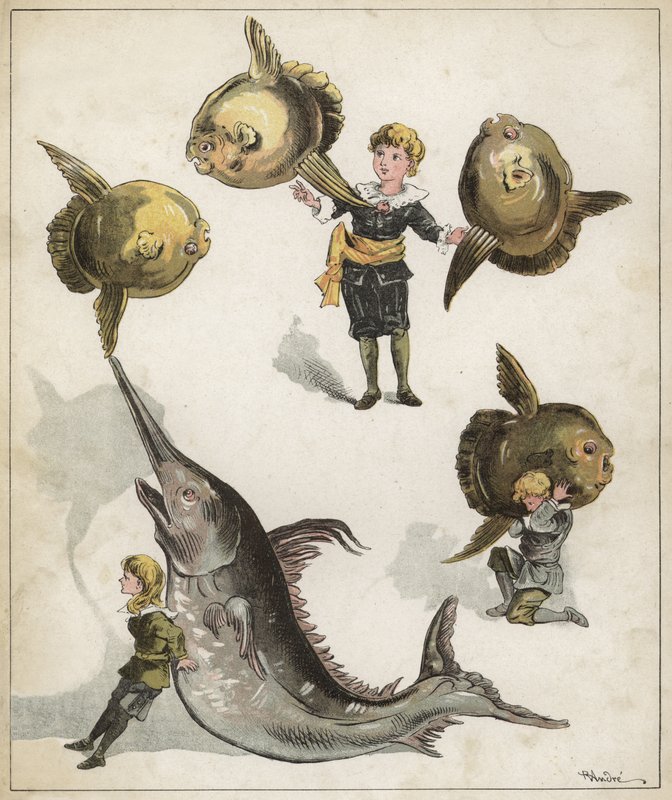 Gimnasia de peces de Richard Andre