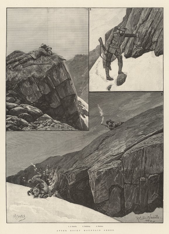 Después de la oveja de las Montañas Rocosas de Richard Caton Woodville junior