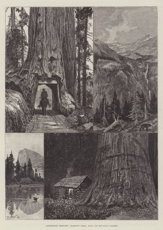 Bocetos de California, árboles mamut, rocas y paisajes montañosos de Richard Caton Woodville junior