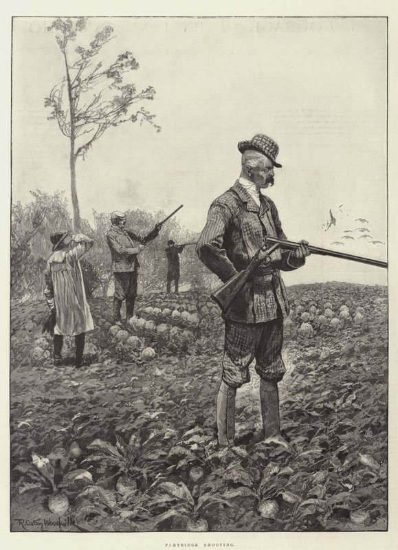 Caza de perdices de Richard Caton Woodville junior