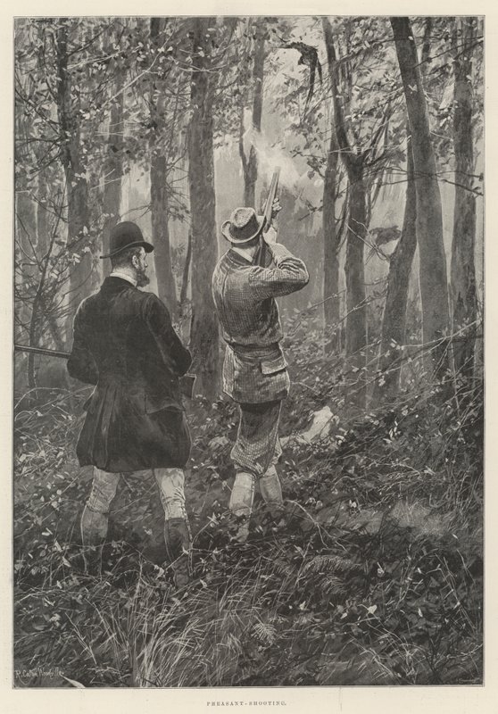 Caza de Faisanes de Richard Caton Woodville junior