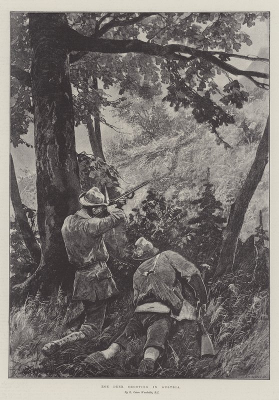 Caza de Corzos en Austria de Richard Caton Woodville junior
