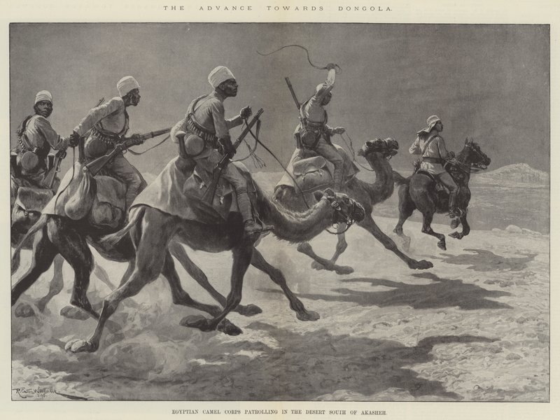 El avance hacia Dongola, el Cuerpo de Camellos Egipcio patrullando en el Desierto al Sur de Akasheh de Richard Caton Woodville junior