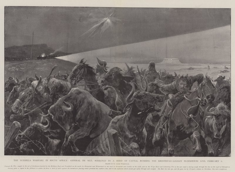 La guerra de guerrillas en Sudáfrica, el General De Wet, protegido por un rebaño de ganado, atacando la línea de la casa de bloques Kroonstad-Lindley, 6 de febrero de Richard Caton Woodville junior