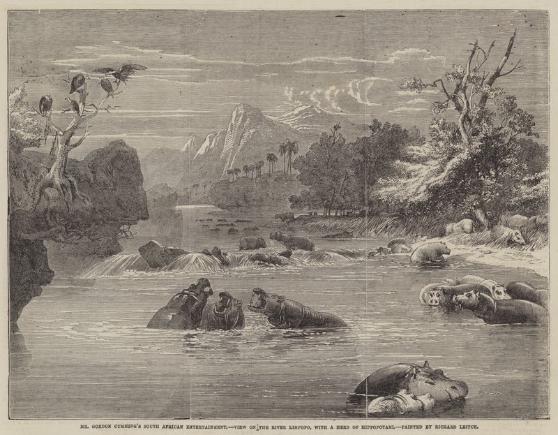 El entretenimiento sudafricano del Sr. Gordon Cumming, vista en el río Limpopo, con una manada de hipopótamos de Richard Principal Leitch